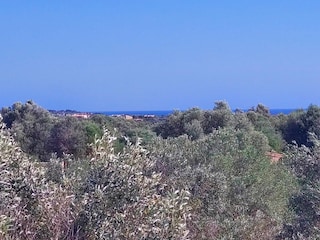 Tenuta Es Llombards Registrazione all'aperto 16