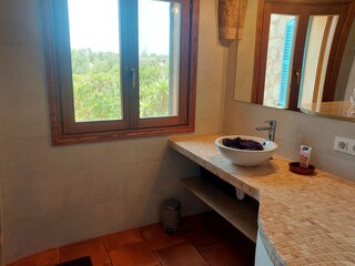 Finca Es Llombards Características 39