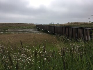 Appartamento per vacanze Breskens Ambiente 33