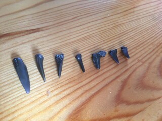 Appartamento per vacanze Breskens Ambiente 34