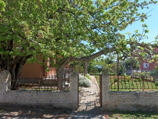 Apartment Fažana  5