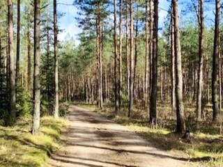Ferienhaus Nättraby Außenaufnahme 7