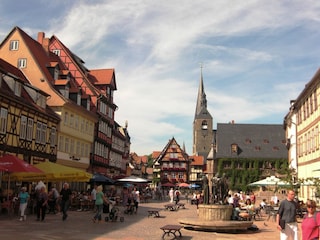 Apartment Blankenburg Umgebung 20