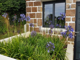 Casa per le vacanze Plougasnou Registrazione all'aperto 4