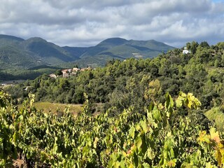 Maison de vacances Prades-sur-Vernazobre Environnement 29