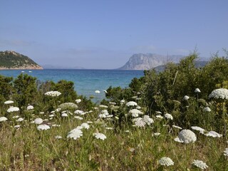 Apartamento Limpiddu Entorno 23