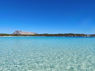 Apartment Limpiddu Environment 29