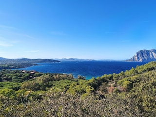 Apartment Limpiddu Environment 32