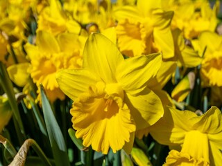 Apartamento Callantsoog  17