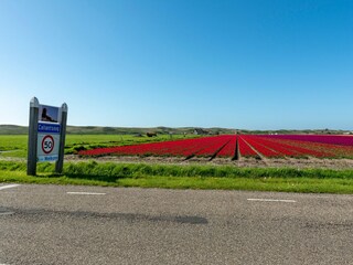 Appartement Callantsoog Omgeving 14