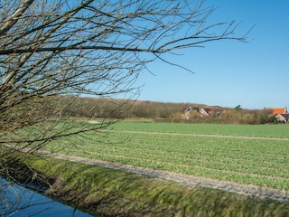 Apartment Julianadorp Environment 16