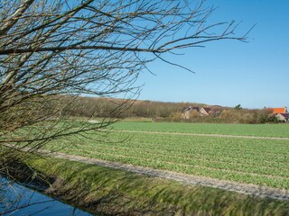 Appartement Julianadorp Omgeving 18