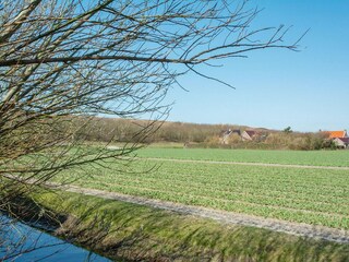 Appartement Julianadorp Omgeving 19