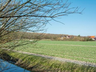 Appartement Julianadorp Omgeving 19