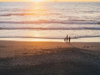 Apartment Julianadorp Umgebung 20