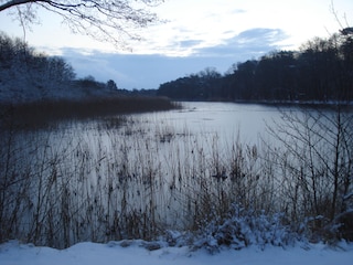 Prerow im Winter