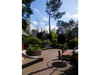 Vakantieappartement Prerow Buitenaudio-opname 6