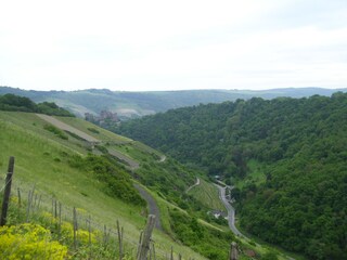 Holiday apartment Oberwesel  13