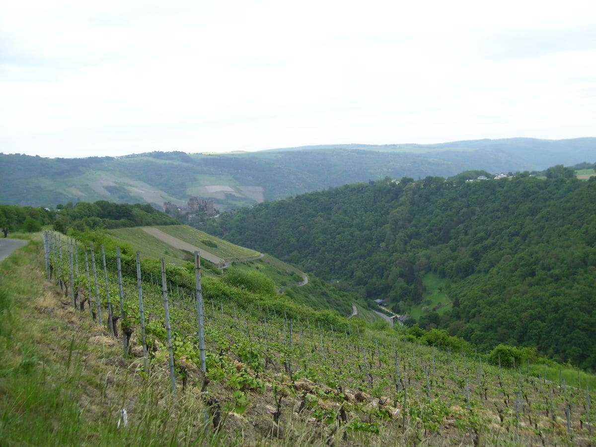 Ferienwohnung Oberwesel Umgebung 15