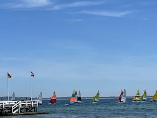 Regatta