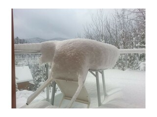 Casa per le vacanze Hornberg  6