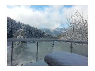 Casa per le vacanze Hornberg  7