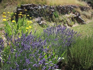 Vakantiehuis Argeliers Omgeving 23