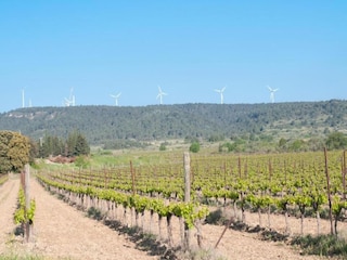 Holiday house Argeliers Environment 32