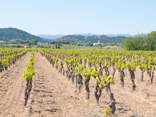 Holiday house Argeliers Environment 34