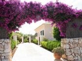 Entrance to vacation home Olivo with Bougainvillea