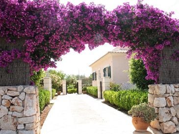Holiday house Casa Olivo