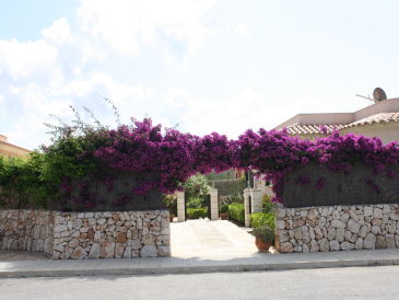 Holiday house Casa Olivo