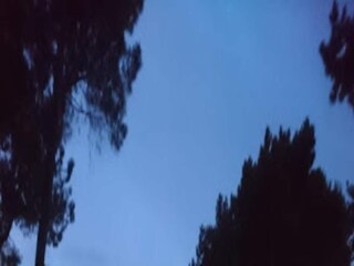 Maison de vacances Lignano Sabbiadoro Environnement 19