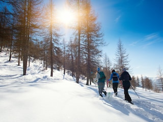 Schnee schuh Wanderung