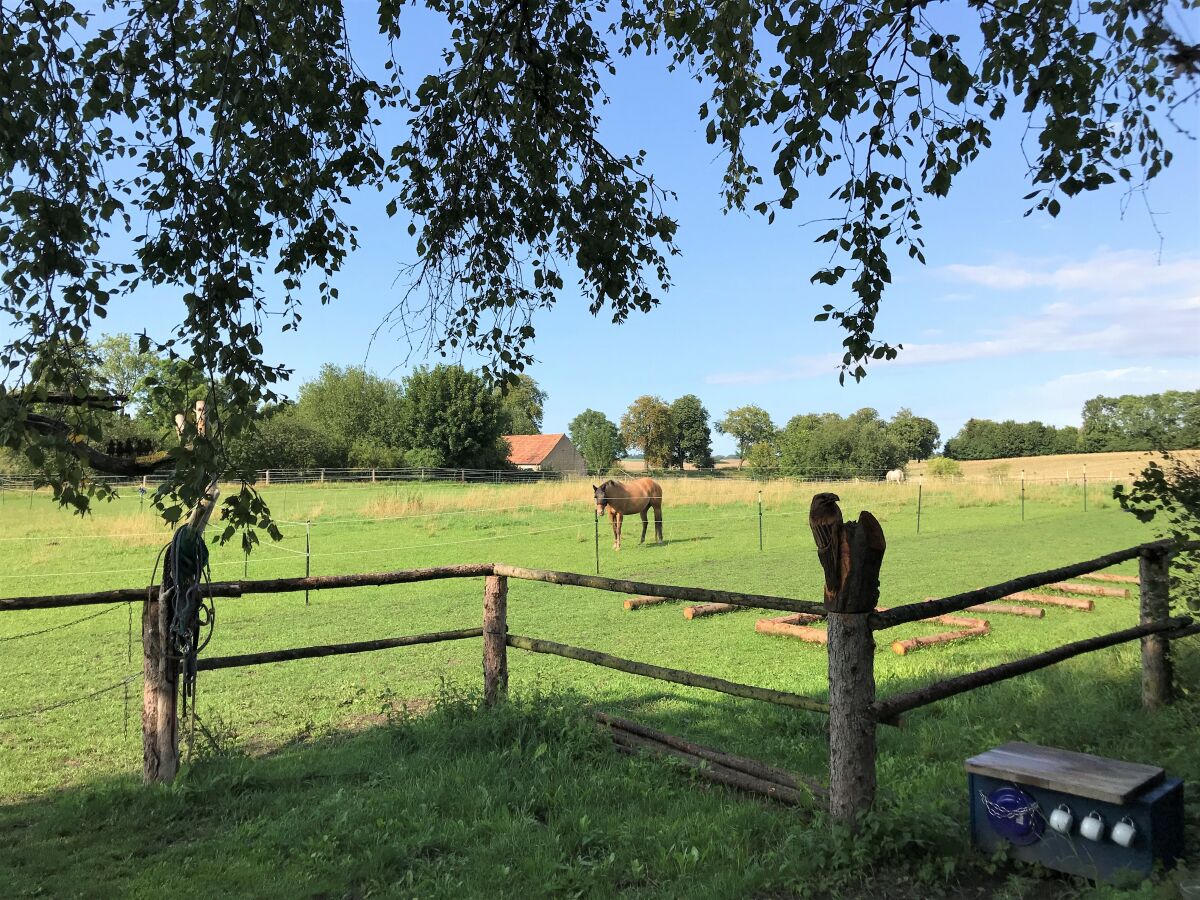 Blick auf die Weiden des alten Gutshofes!