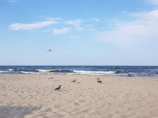 Feinsandiger Ostseestrand