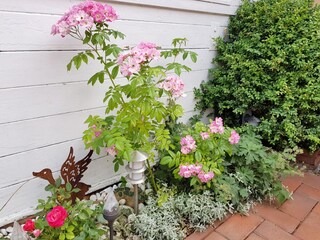 Schöner Gartenbereich neben der Terrasse