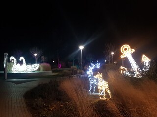 Inselglitzern entdecken (im Dezember-Januar)