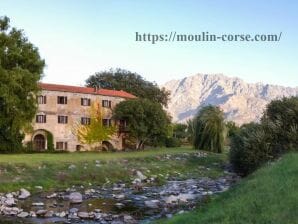 Ferienwohnung Appartement Terrasse