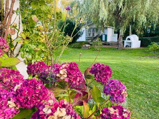 Ferienhaus Karlskrona Außenaufnahme 10