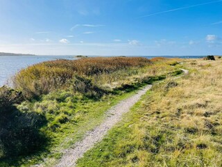 Holiday house Karlskrona Outdoor Recording 20