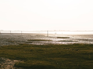 Weltnaturerbe Wattenmeer