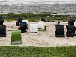 Strandkörbe am Strand Dangast