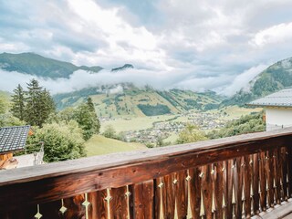 Alpenhut Rauris Kenmerken 25