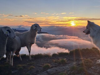 Sonnenaufgang auf 3000m