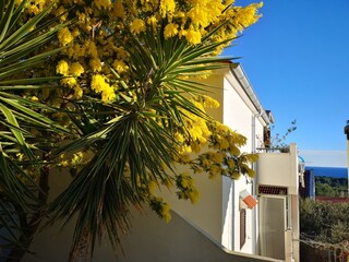 Apartment Vis (Stadt)  3