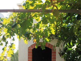 Apartment Vis (Stadt)  6