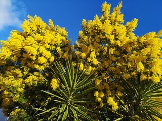 Apartment Vis (Stadt)  7