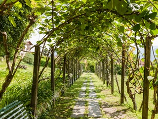 Apartment Menaggio Umgebung 24