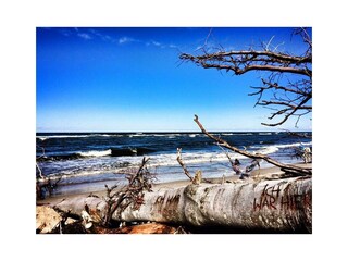 Impressionen wilder Weststrand